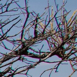 Close-up photo of tree branches against the sky showing purple and green color fringing from chromatic aberration.