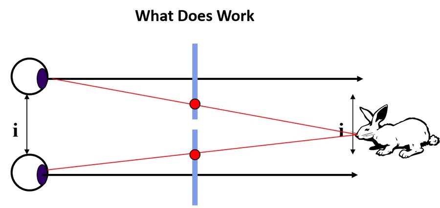 Diagram labeled 'What Does Work': both eyes using parallel view directions and a shared projection plane, converging correctly on the rabbit.