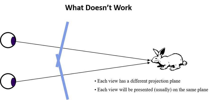 Diagram labeled 'What Doesn't Work': each eye looking at a rabbit through a different, misaligned projection plane.