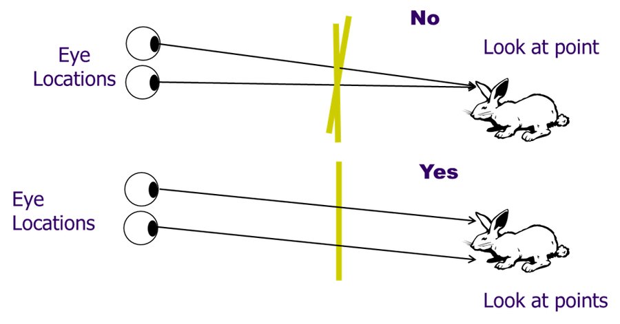 Diagram comparing a single shared look-at point for both eyes (No) against separate look-at points per eye (Yes).
